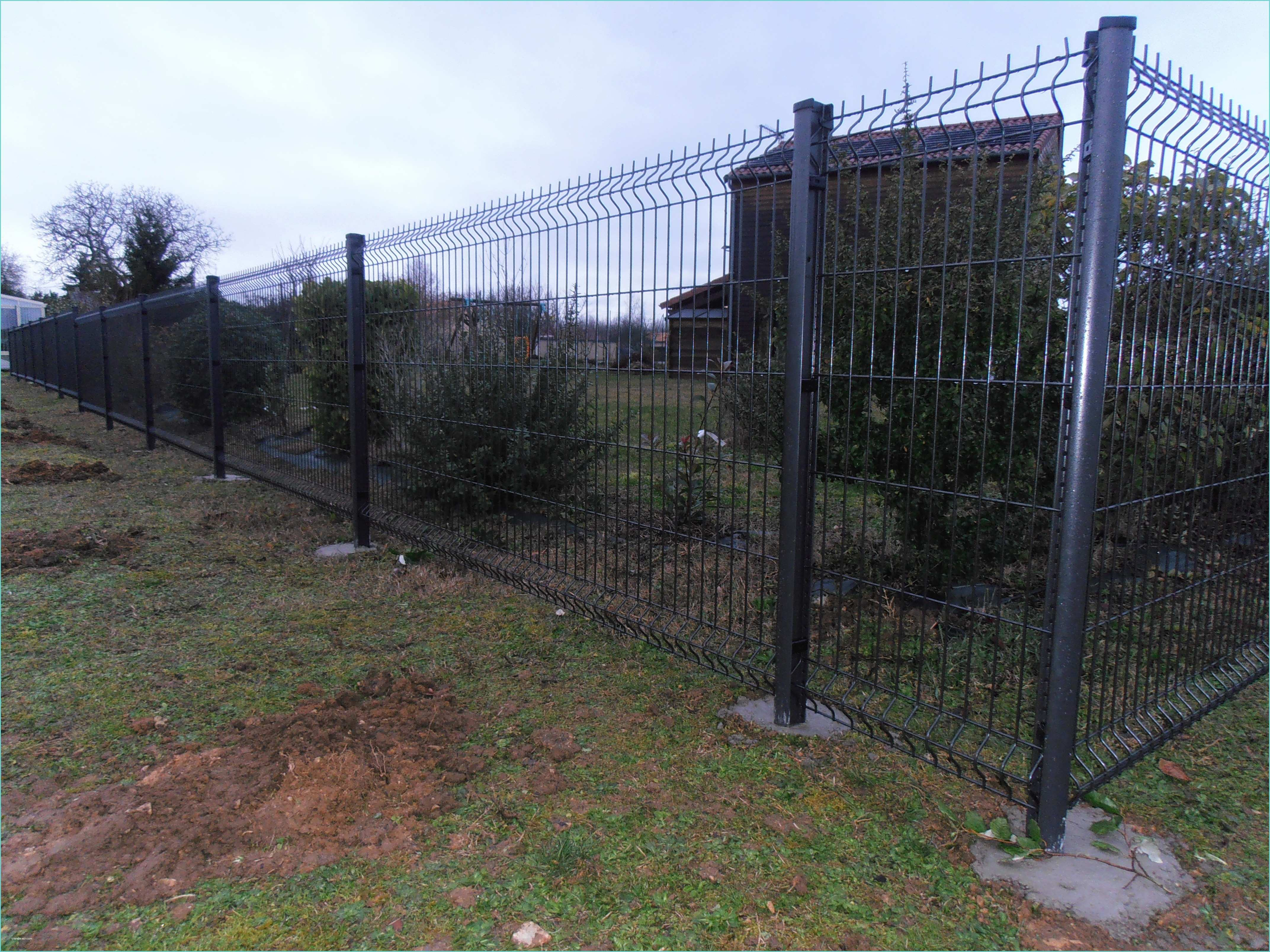 Panneau Grillage Rigide Brico Depot Panneau Grillage Leroy Merlin Excellent Amazing Panneau encequiconcerne Grillage Rigide Brico Depot Panneau Grillage Rigide Brico Depot Panneau Grillage Leroy Merlin Excellent Amazing Panneau encequiconcerne Grillage Rigide Brico Depot