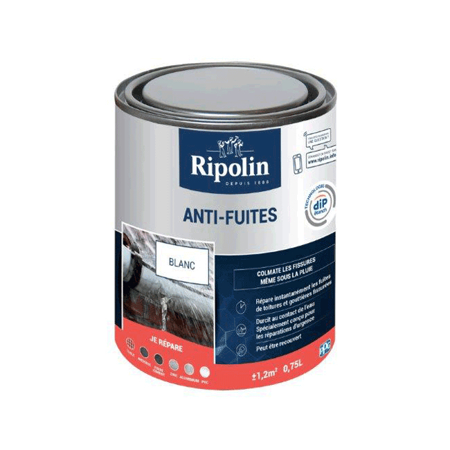 Peinture Ripolin Dip Etanch Anti-Infiltration D'Eau Blanc intérieur Peinture Etanche