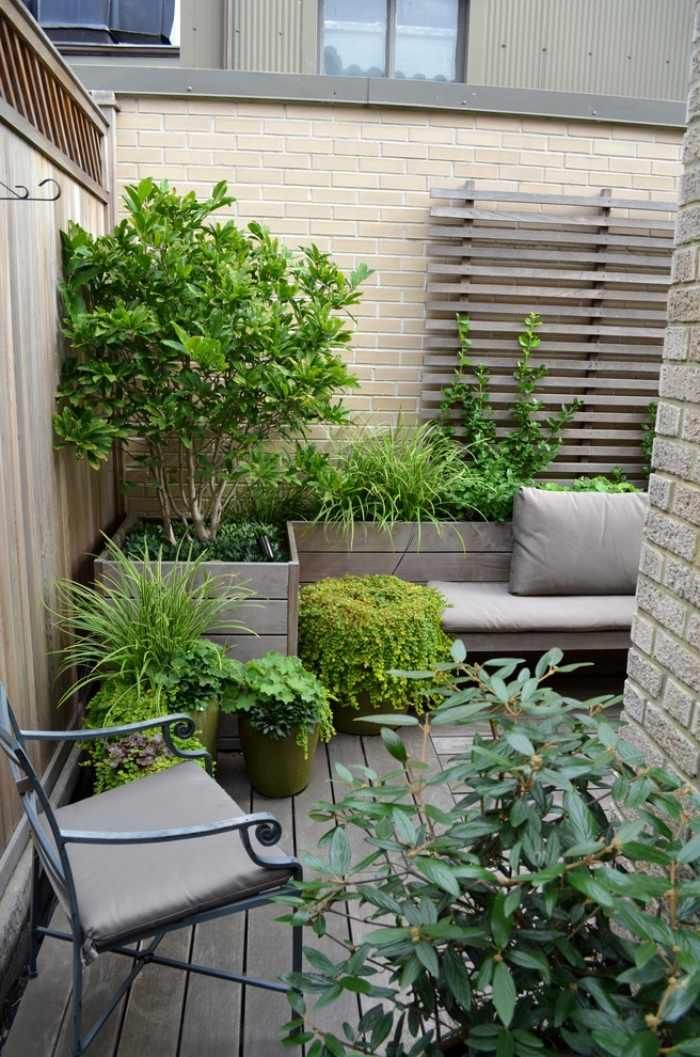 Petit Jardin En Ville: 22 Photos Et Conseil Pratiques Pour Vous! | Aménager Petit Jardin, Petits destiné Un Jardin En Ville