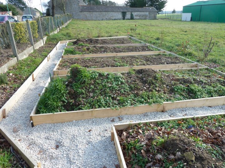 Petite Fée Production: La Nouvelle Tete Du Jardin à Bordure Bois Jardin Petite Fée Production: La Nouvelle Tete Du Jardin à Bordure Bois Jardin