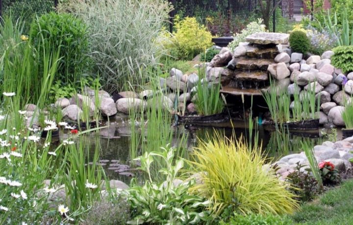 Petits Bassins De Jardin : Comment Les Installer | Pratique.fr intérieur Bassin De Jardin