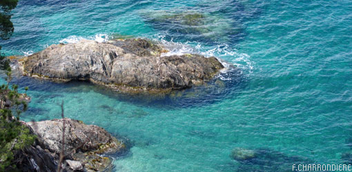 Photos Kayak Giens : Presqu’île De Giens, Les Îles D avec Gite Porquerolles