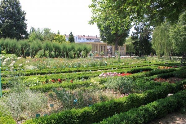 Podcast #35 Discover A New Area Of France: La Bourgogne tout Jardin De L'You Lourdes