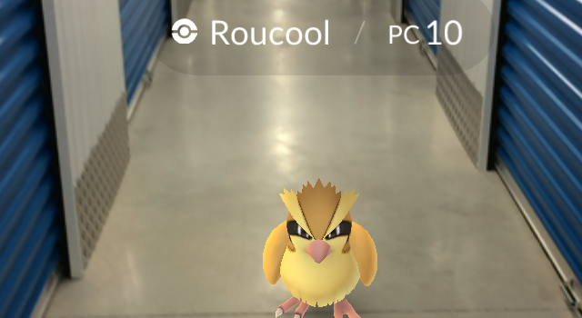 Pokemon Go À Brest, Les Petits Pokemon Aiment Se Balader avec Garde Meuble Brest Pokemon Go À Brest, Les Petits Pokemon Aiment Se Balader avec Garde Meuble Brest