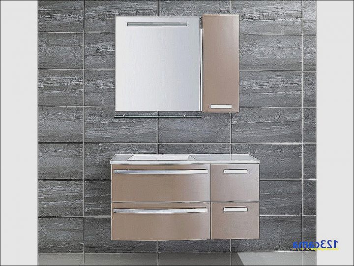 Porte De Placard Bricoman Nouveau Idées De Design Porte De encequiconcerne Carré Potager Pas Cher Gifi