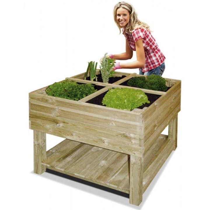Carré Potager Surélevé Divisé 120 X 80 Cm - Oogarden France