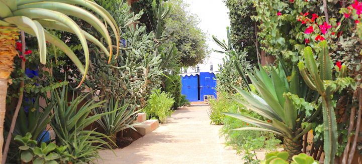 Ranch & Maison D'Hôtes – Les 2 Gazelles – Sud Maroc destiné Le Jardin Des Gazelles