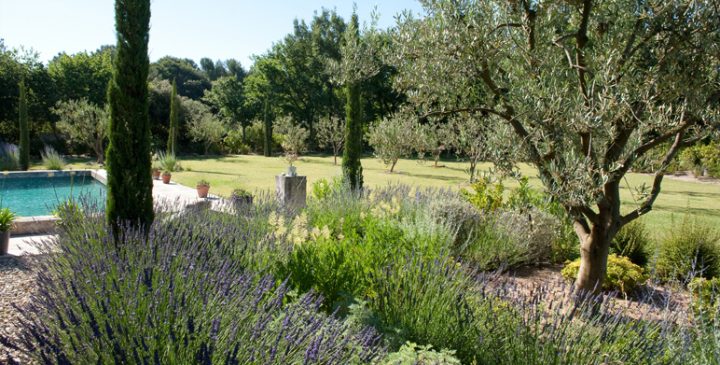 Résultat De Recherche D'Images Pour "Jardin Provence pour Jardin De Provence