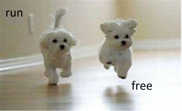 run free hund