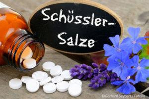 schüssler salze kinderwunsch erfahrungen schüssler salze kinderwunsch erfahrungen