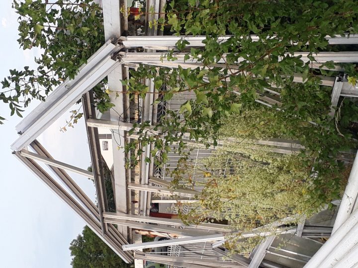 Serre – Autres Espaces Verts D'Occasion Aux Enchères avec Serre Horticole D&#039;Occasion