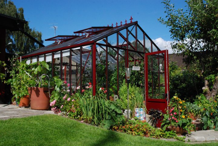 Serre De Jardin Occasion. Serre Tunnel Occasion Le Bon à Serre Adossée Occasion