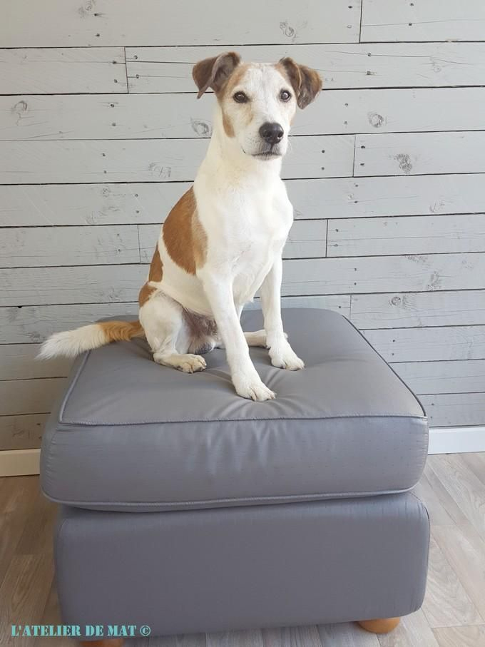 Thor Pose Sur Son Ottomane Repeinte | Mobilier De Salon tout Ottomane Meuble Thor Pose Sur Son Ottomane Repeinte | Mobilier De Salon tout Ottomane Meuble