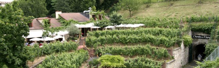 Un Été Très Terre-À-Terrasses à La Cabane Palaiseau Un Été Très Terre-À-Terrasses à La Cabane Palaiseau