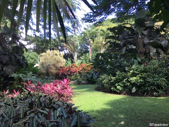 Visitez Le Jardin Botanique De Deshaies, En Guadeloupe serapportantà Jardin Botanique Guadeloupe