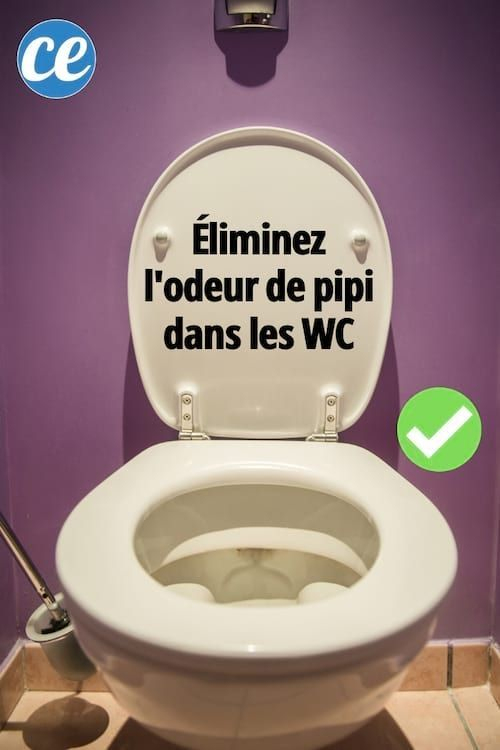 10 Astuces Pour Des Wc Toujours Impeccables Qui Sentent à Nettoyer Ses Toilettes 10 Astuces Pour Des Wc Toujours Impeccables Qui Sentent à Nettoyer Ses Toilettes