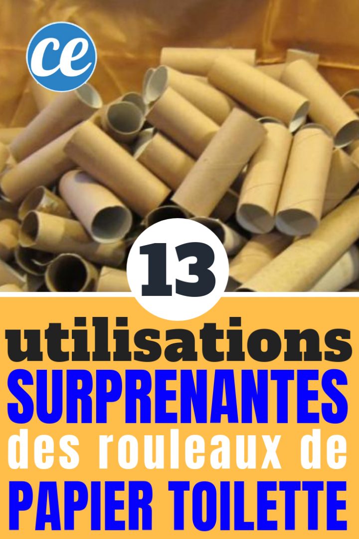 13 Utilisations Surprenantes Des Rouleaux De Papier encequiconcerne Toilettes Bouchées Que Faire