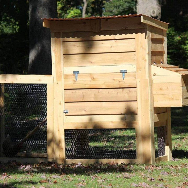 14 Wonderful And Wacky Chicken Coop Ideas | Poulailler destiné Chemin Du Poulailler