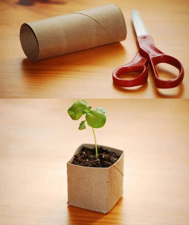 2- Avec Un Rouleau De Papier Toilette En Carton, Créez Un à Trefle Papier Toilette