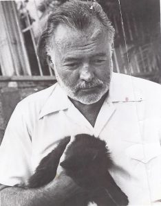 ernest hemingway katzen