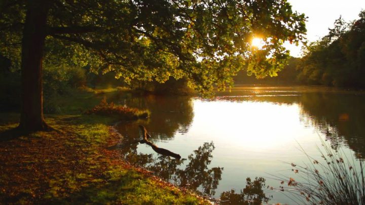 Affiches, Posters Et Images De Compostelle, Le Chemin De pour Chemin De Vie 9