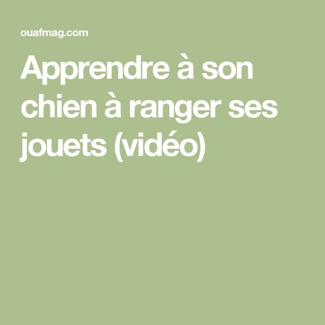 Apprendre À Son Chien À Ranger Ses Jouets (Vidéo pour Apprendre A Toiletter Son Chien Apprendre À Son Chien À Ranger Ses Jouets (Vidéo pour Apprendre A Toiletter Son Chien