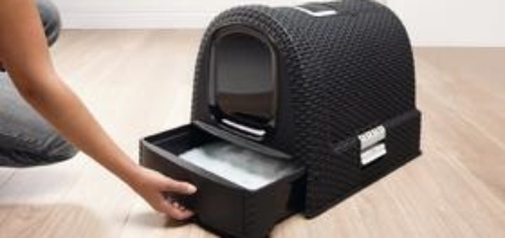 Bac A Litiere Pas Cher – Khenghua serapportantà Maison De Toilette Pour Chat Pas Cher Bac A Litiere Pas Cher – Khenghua serapportantà Maison De Toilette Pour Chat Pas Cher