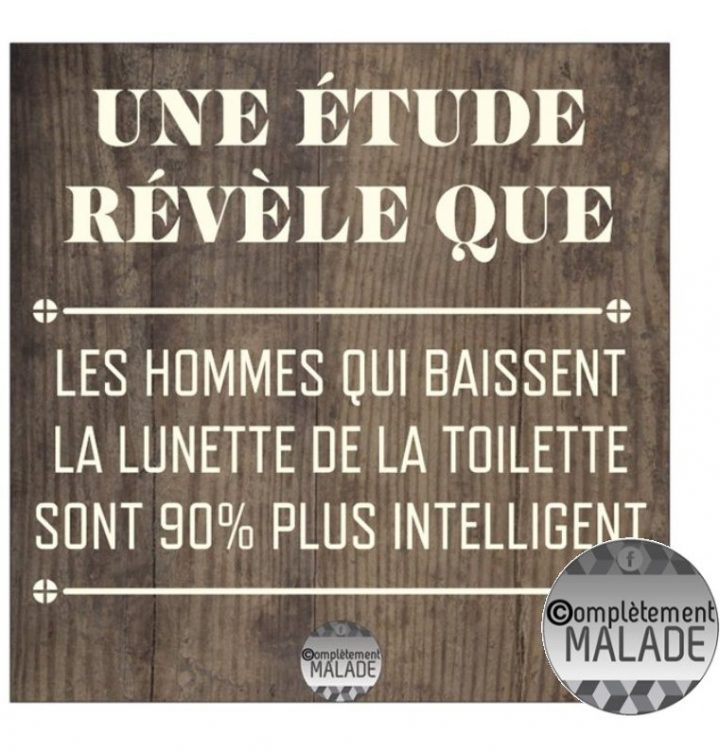 Baisser Le Siège Des Toilettes – Complètement Malade dedans Siege Toilette Pour Handicapé