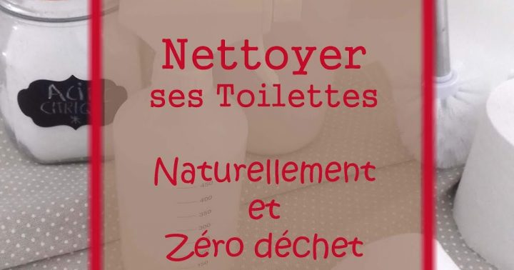Bio'Tiful Family: Nettoyer Ses Toilettes Naturellement Et pour Nettoyer Ses Toilettes Bio'Tiful Family: Nettoyer Ses Toilettes Naturellement Et pour Nettoyer Ses Toilettes