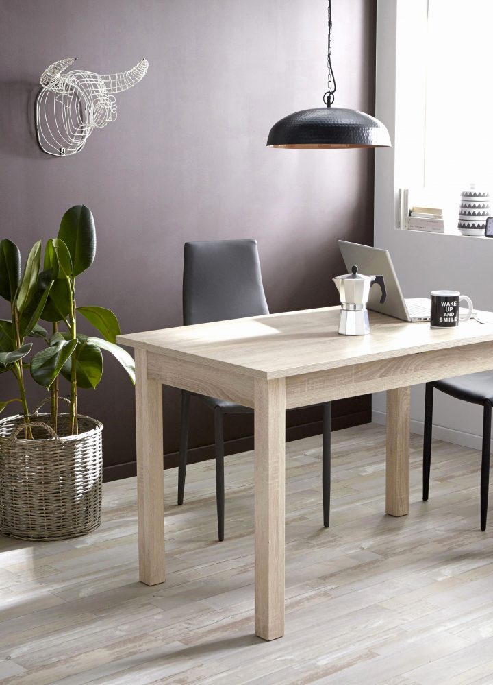 Bon Coin Salle A Manger D Occasion Luxe Bon Coin Table encequiconcerne Le Bon Coin Chaises Salle A Manger