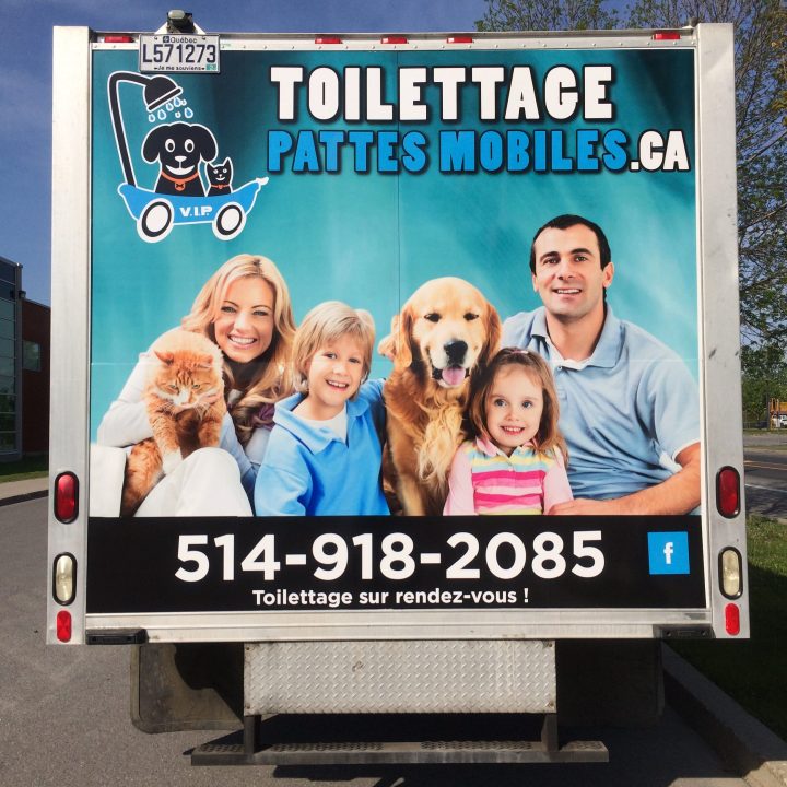 Camion – Toilettage Chiens & Chats | Toilettage Pattes Mobiles dedans Toiletteuse A Domicile