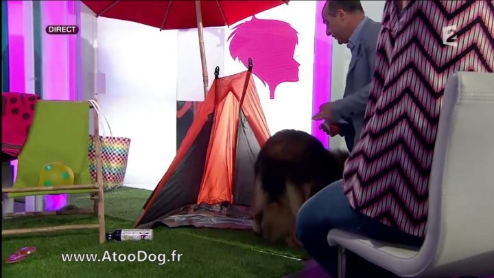 C'Est Au Programme, Accessoires Contre La Chaleur – France avec Rideau Thermique Contre La Chaleur C'Est Au Programme, Accessoires Contre La Chaleur – France avec Rideau Thermique Contre La Chaleur