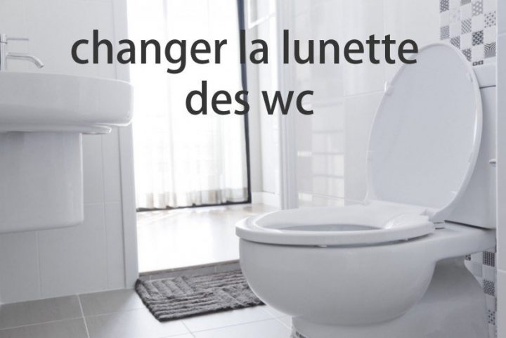 Changer La Lunette Des Wc – Astuces Pratiques dedans Lunettes De Toilettes Changer La Lunette Des Wc – Astuces Pratiques dedans Lunettes De Toilettes