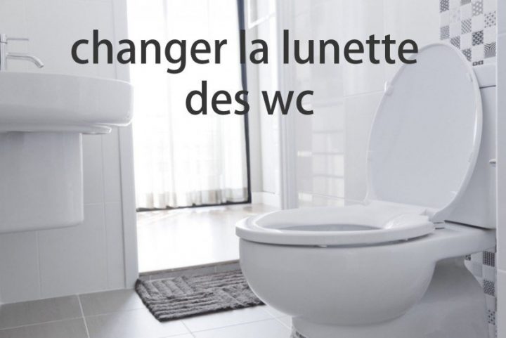 Changer La Lunette Des Wc – Astuces Pratiques pour Lunette De Toilette Originale