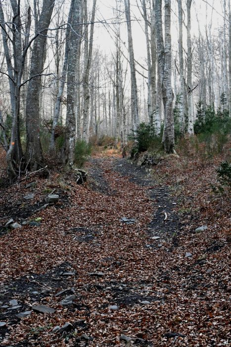 Chemin De Vie – Boucle A-L Ouest pour Chemin De Vie 9