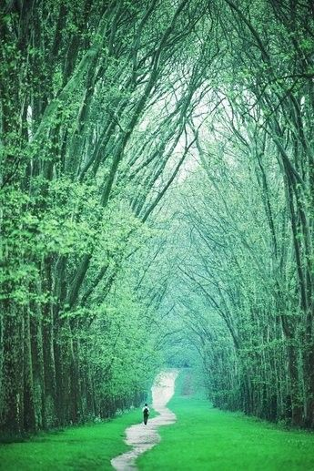 Chemin De Vie En Numérologie Et Symbolique Des Nombres pour Chemin De Vie 9