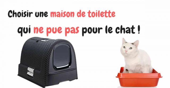 Choisir La Maison De Toilette Du Chat – Comparatif concernant Toilettes Pour Chat