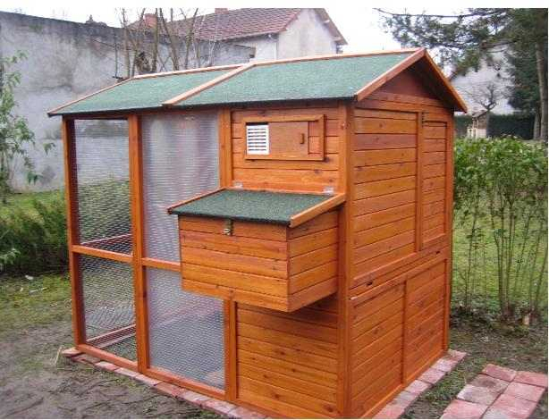 Client Satisfait Du Poulailler Gaulois avec Chemin Des Poulailler