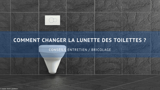 Comment Changer La Lunette Des Toilettes ? – Wd-40 Deutschland tout Changer Toilette