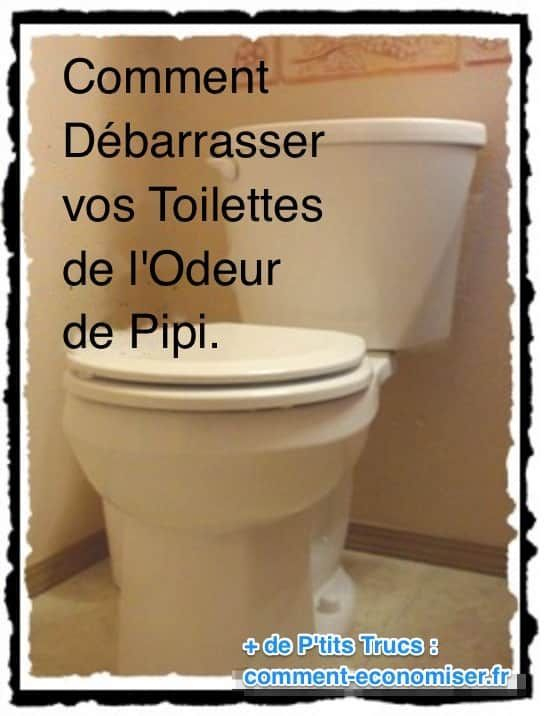 Comment Débarrasser Vos Toilettes De L'Odeur De Pipi destiné Comment Nettoyer Des Toilettes Très Sales