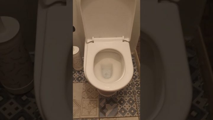 Comment Faire Pour Déboucher Sa Toilette-Wc En Moins De 3 concernant Deboucher Des Toilettes