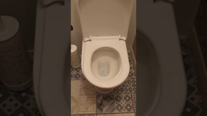 Comment Faire Pour Déboucher Sa Toilette-Wc En Moins De 3 concernant Deboucher Des Toilettes