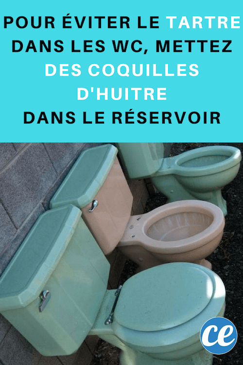 Comment J'Enlève Le Calcaire Des Toilettes Avec Des encequiconcerne Comment Nettoyer Le Fond Des Toilettes