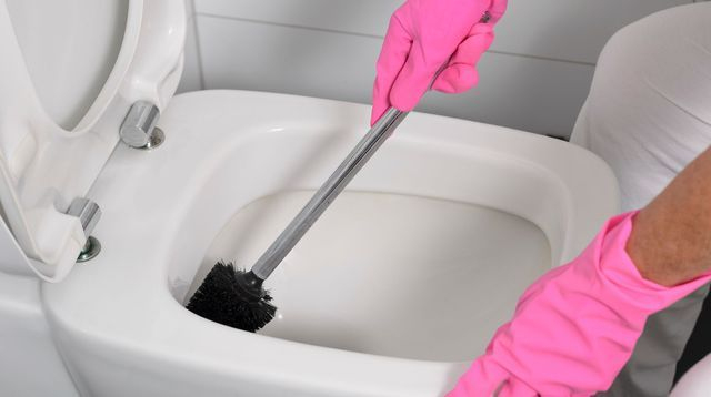 Comment Nettoyer Les Toilettes ? | Comment Nettoyer tout Comment Nettoyer Des Toilettes