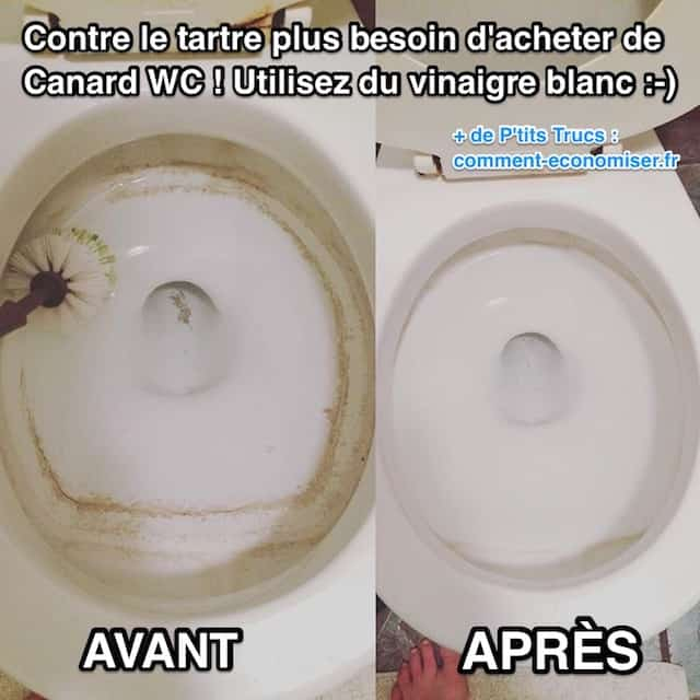 Contre Le Tartre Plus Besoin De Canard Wc ! Utilisez Du à Comment Nettoyer Le Fond Des Toilettes
