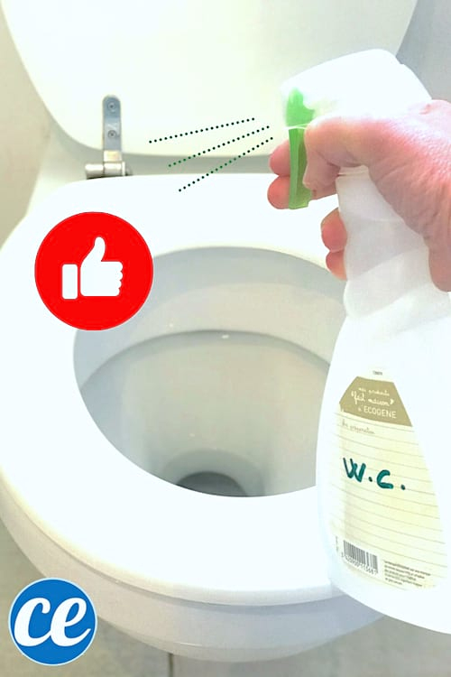Coronavirus : Comment Désinfecter Les Wc Avec Du Vinaigre serapportantà Lunettes De Toilettes Coronavirus : Comment Désinfecter Les Wc Avec Du Vinaigre serapportantà Lunettes De Toilettes