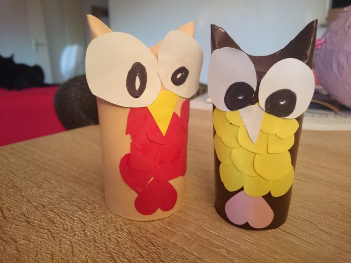 Des Hiboux Plutôt Chouette, Fais En Rouleau De Papier avec Hibou Rouleau Papier Toilette Des Hiboux Plutôt Chouette, Fais En Rouleau De Papier avec Hibou Rouleau Papier Toilette