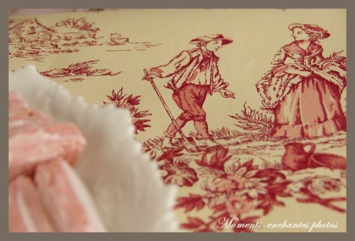 Détails Sur Tissu Toile De Jouy Couture Coussin Rideaux à Rideaux Toile De Jouy