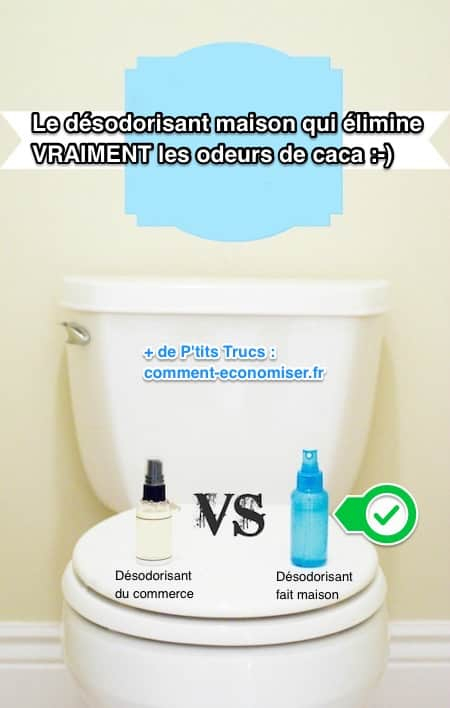 Efficace Et Naturel : Le Désodorisant Maison Qui Élimine tout Désodorisant Toilette