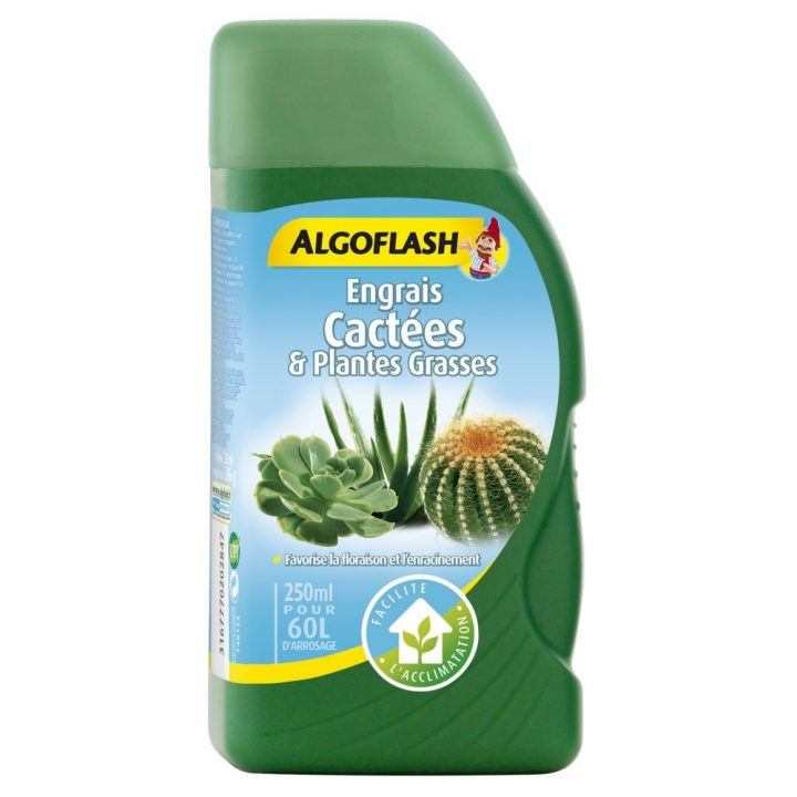 Engrais Cactées Et Plantes Grasses Algoflash 250 Ml (Réf intérieur Rideau Thermique Bricorama